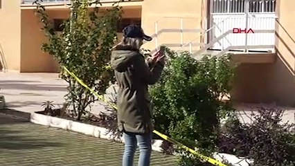 Antalya'da bir kedi boynundan asılmış olarak bulundu