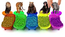 -ZOO Safari Toys Wrong Heads Learn Colors With Bathtubs And Beads Colorful Finger Paints paint