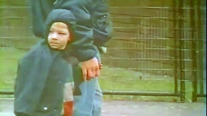 Nil By Mouth (1997) - trailer