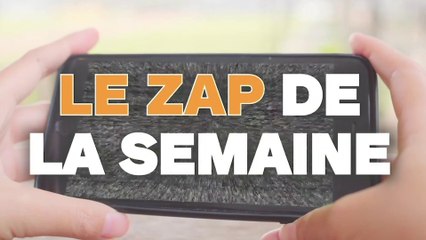 Le ZAP de la semaine #200 : des fails, des animaux et un train de Noël !