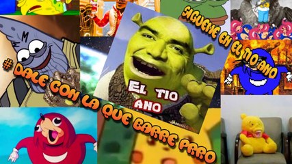 Los mejores videos virales de la red 2019-2020 ven y diviértete