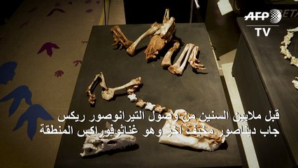 ديناصور غناثوفوراكس المفترس جاب سهول البرازيل قبل ملايين السنين