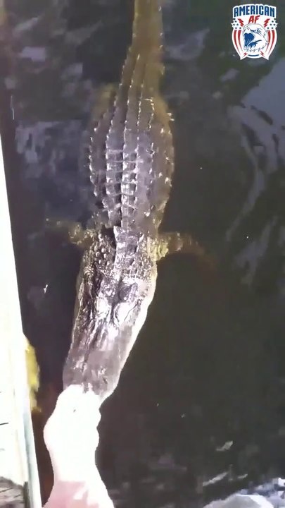 Cet américain laisse ses enfants se baigner avec des crocodiles