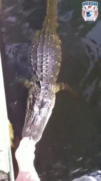 Cet américain laisse ses enfants se baigner avec des crocodiles