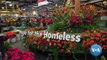 Volunteers Prepare Colorful Floats for Rose Parade | The News Track