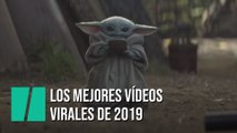 Los mejores vídeos virales de 2019