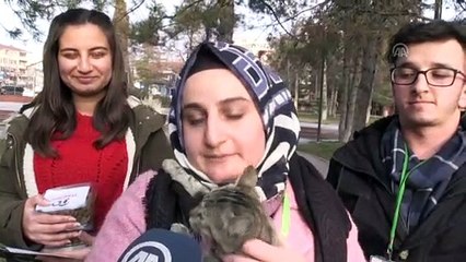 Üniversite öğrencileri farkındalık için mama dağıttı - VAN