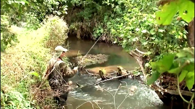 69. Братья Щербаковы - Ловля на микроколебалки. Часть 1