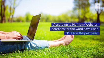 'They' Named Merriam-Webster’s Word of the Year