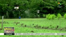Pdte. colombiano emite decreto para fumigar plantíos ilícitos