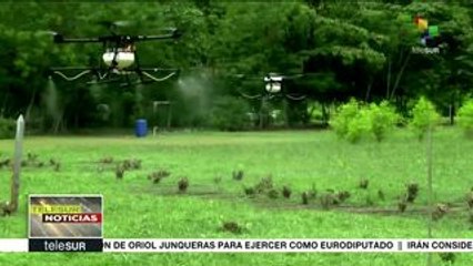 Download Video: Pdte. colombiano emite decreto para fumigar plantíos ilícitos