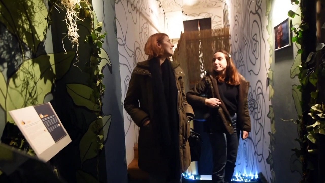 Rausch und Kater im Museum