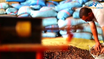 Argan oil in Bulk