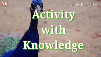 Indian National Bird/peacock song/ Super kids song Gujarati kids song