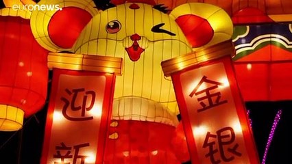 2020: Έρχεται η χρονιά του αρουραίου