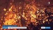 Incendies : une année record pour les feux de forêts
