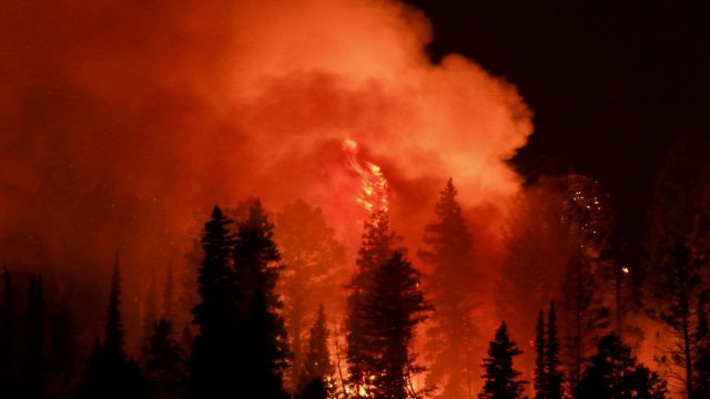 Thousands Of Australians Swarm The Beaches To Escape Fires