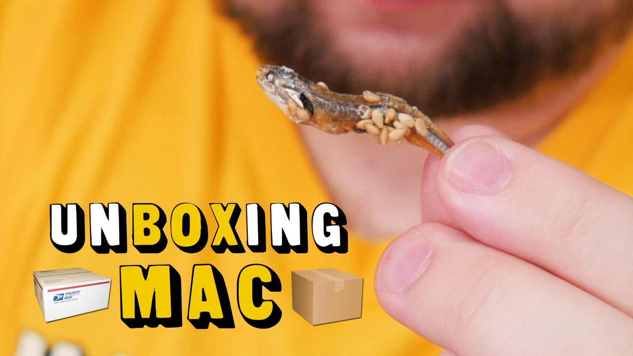 UnBoxing Mac 32: Japanese Goodies and Our Family 4 Cheese