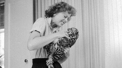 Cat Love Bites: An Interesting Type of Communication