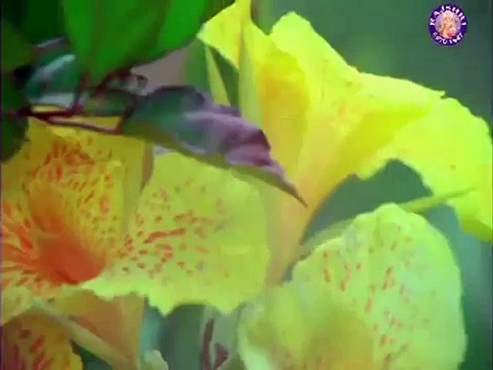 Main Tere Saath Hoon - Swati 1986