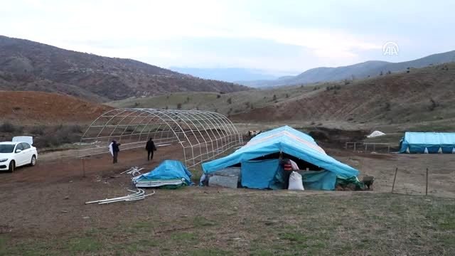 Yeni yıla, çetin kış şartlarında merada girdiler