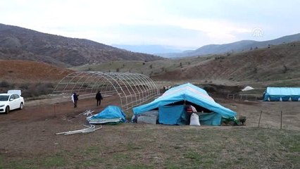 Yeni yıla, çetin kış şartlarında merada girdiler