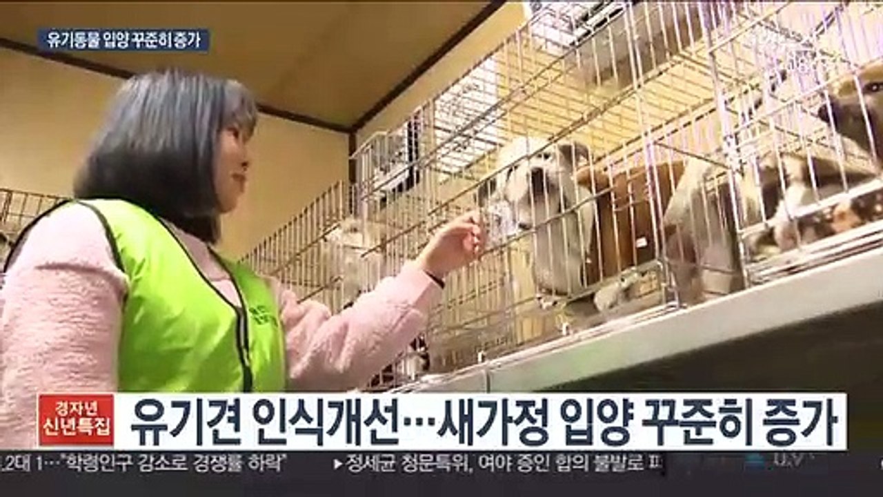 '버려진 동물' 12만마리…"사지말고 입양해요"