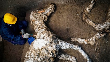 Hallan este caballo petrificado (con adornos y bien conservado) en un antiguo establo de Pompeya