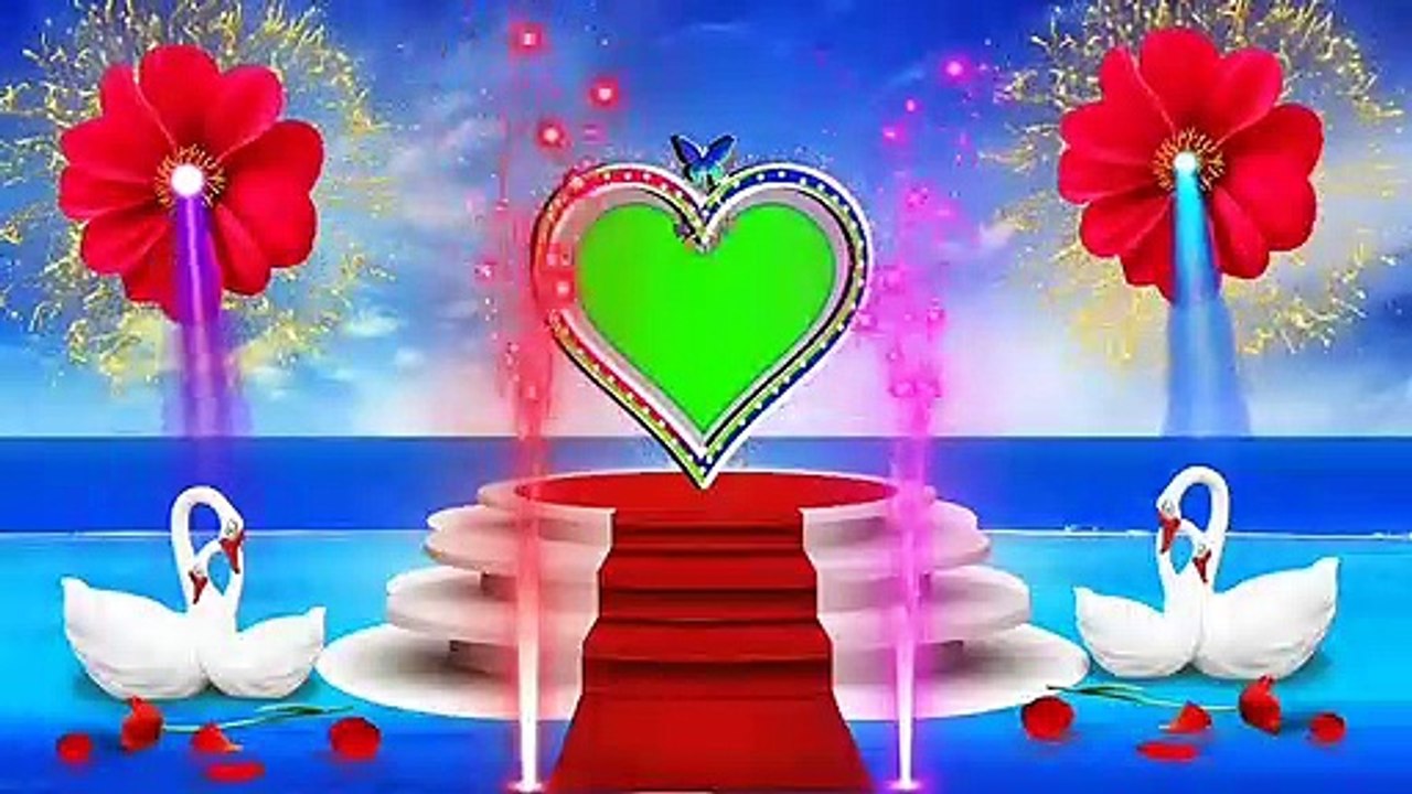 wedding green background screen effect popular effects