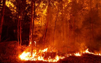 Download Video: Australian Wildfires Lead to Forced Evacuations As Lingering Smoke Turns New Zealand Skies Yellow