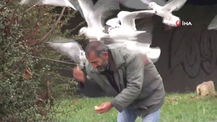 Bakırköy'de Her Gün Yüzlerce Martıyı Elleriyle Besliyor
