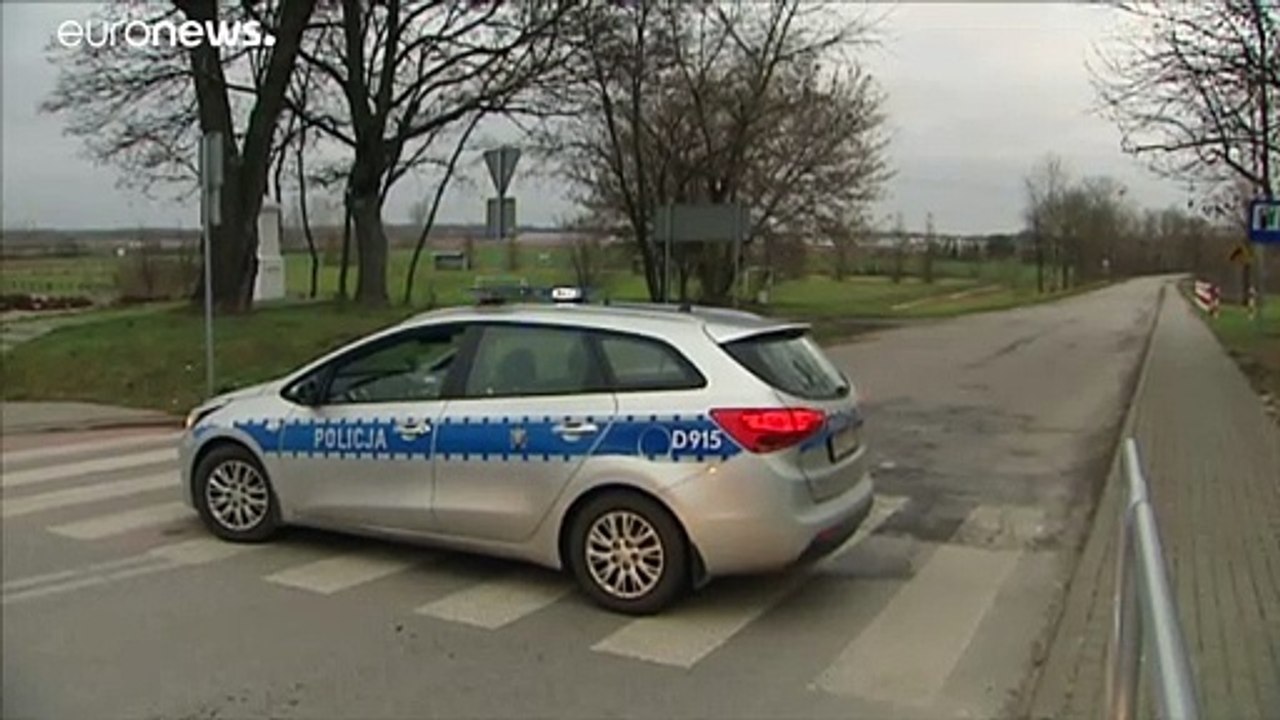 Vogelgrippe in Polen: 40.000 Tiere sollen getötet werden