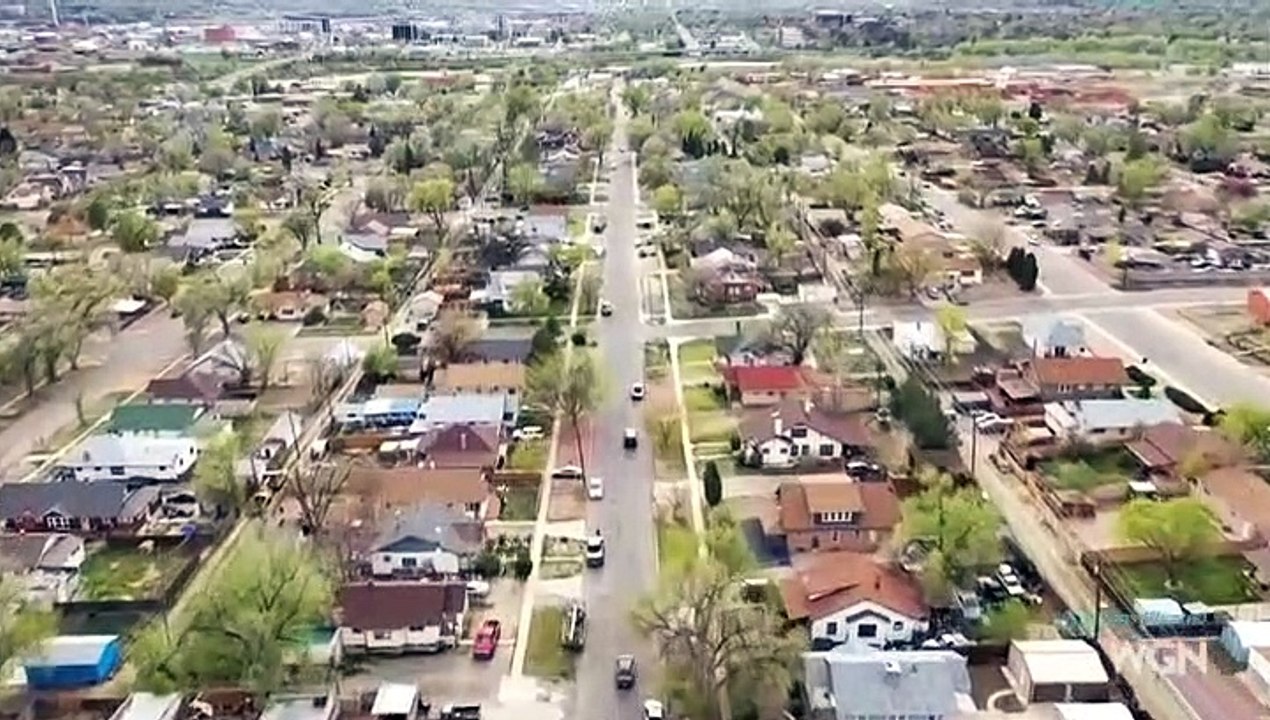 Dog’s Most Wanted - S01E09 - October 30, 2019 || Dog’s Most Wanted (30/10/2019)