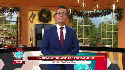 ¿Sabes cómo se castiga en México el maltrato animal? | Venga La Alegría