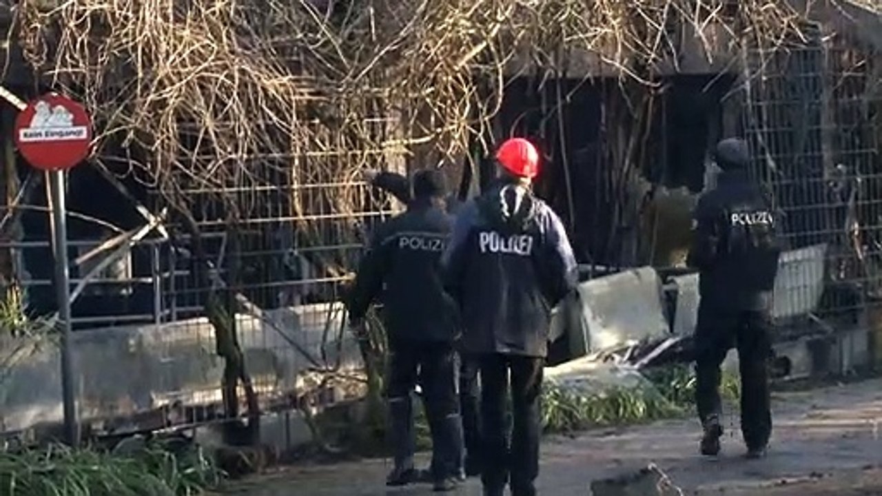 Von drei Frauen gestartete Himmelslaterne entfachte offenbar Krefelder Zoobrand