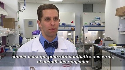 Un dopage bienvenu: les "supercellules" qui ont guéri Johan d'une maladie génétique rare
