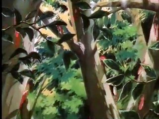 Nono and Glikko - Enchanted Journey - 1 of 9