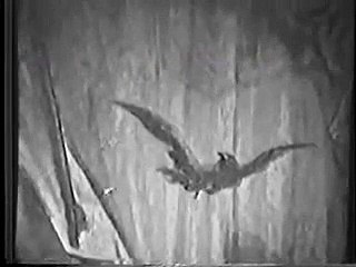 "O Corvo" filme de Valêncio Xavier (1983)