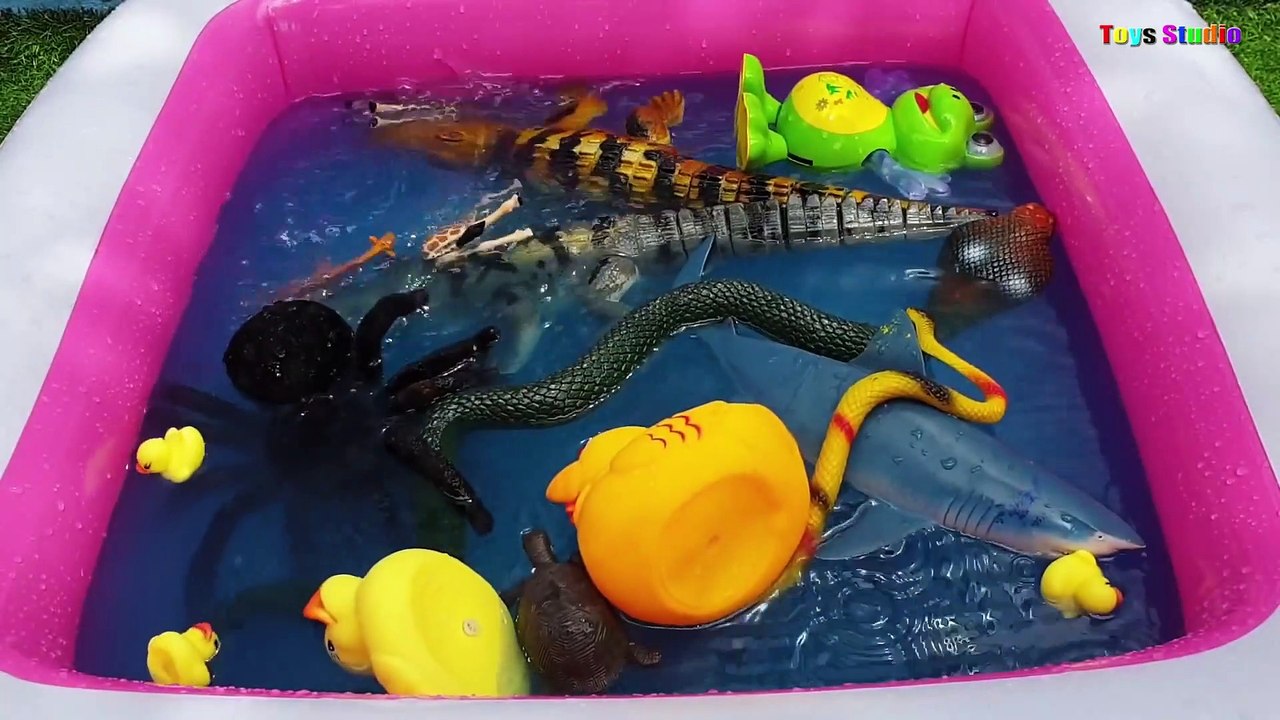 wild animals toys videos