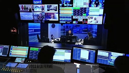 Prise de poids, poils qui s’étoffent, hibernation… Quelles sont les conséquences du froid sur les animaux ?