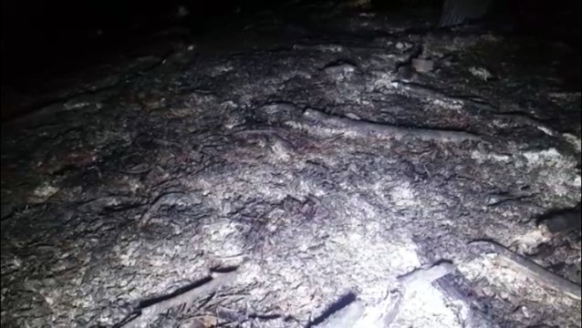 Dois homens são presos por tráfico de drogas no Centro