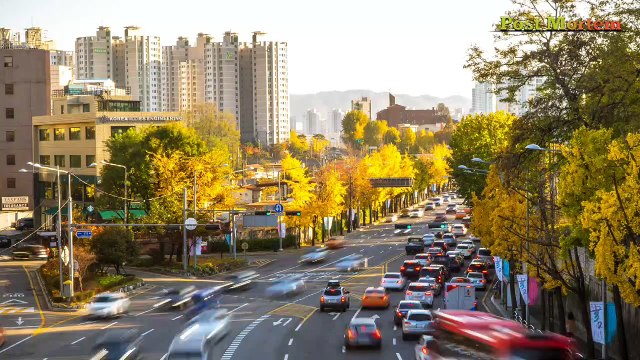 पहला नव वर्ष कहाँ मनाया जाता है?//where is the first new year celebrated?