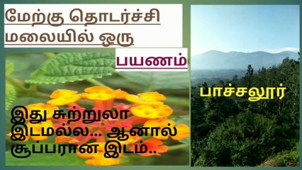 WESTERN GHATS || pachaloor  || TAMILNADU