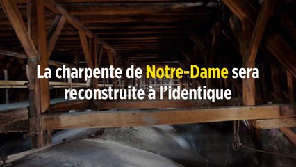 La charpente de Notre-Dame sera reconstruite à l’identique
