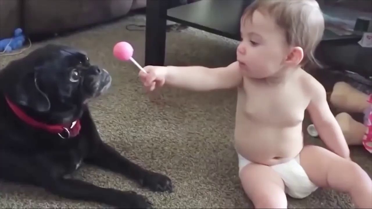 CUTE_BABIES_LOVE_DOGS-_CUTE DOGS