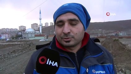 Aç kalan domuzlar mahalleye indi