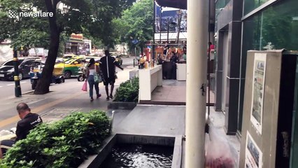 Thai locals place model zebras at shrine to 'appease ghosts'