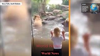 Cute kid roars in delight at bear encounter (Video) World News