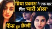 Priya Parkash Sex - After The Wink, Priya Prakash Varrier's Kissing Video Goes Viral - video  Dailymotion