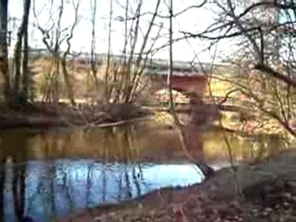 Hunde Video - Fluss Bille bei Reinbek